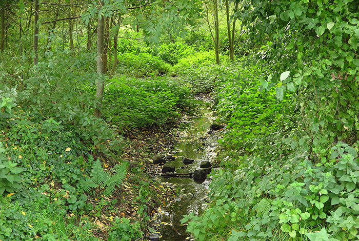 Amstelbach Richterich