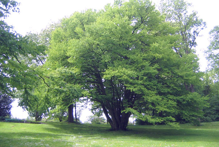 Haarbach vor Eilendorf